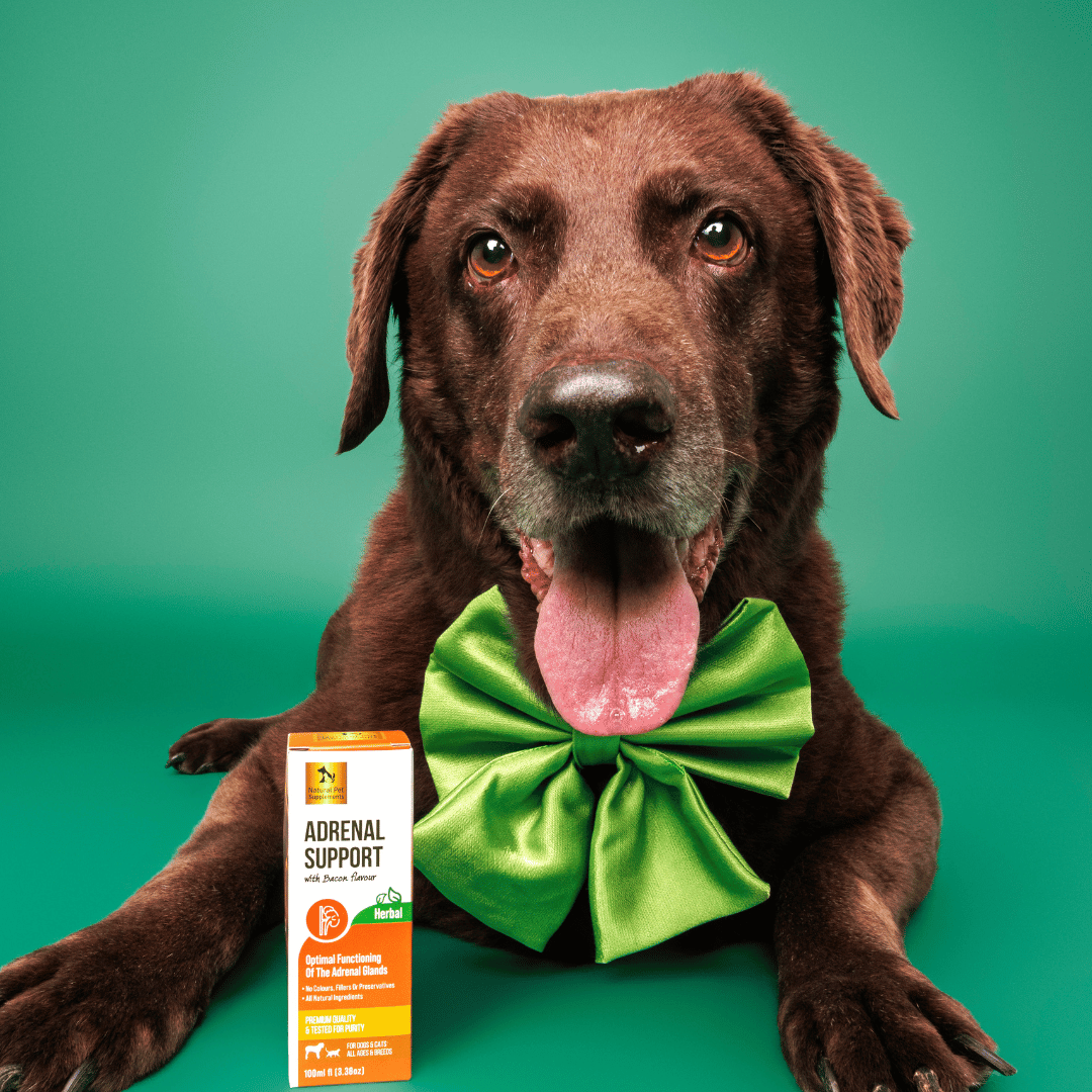 Adrenal Support Herbal For Dogs and Cats Natural Pet Supplements Natural Pet Supplements Australia
